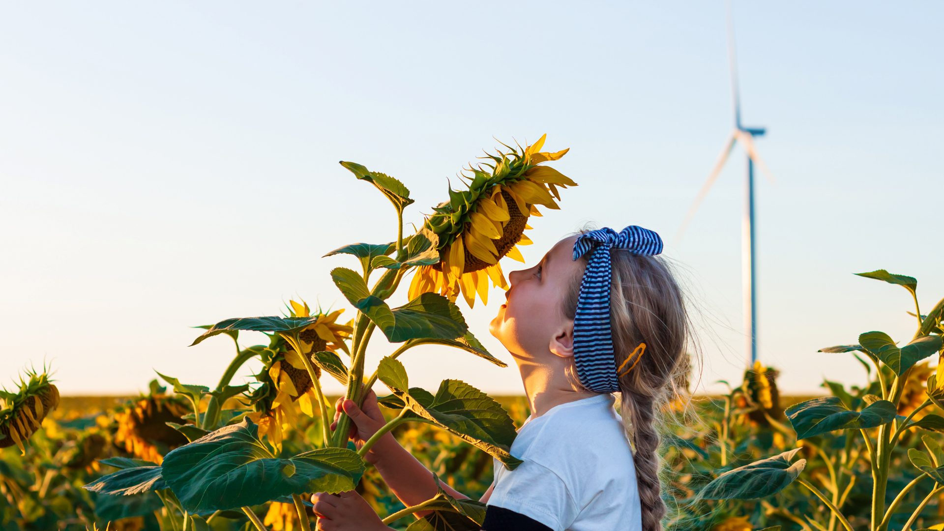 Nestle Bringt Mit Climatepartner Erste Klimaneutrale Produkte Auf Den Markt Climatepartner