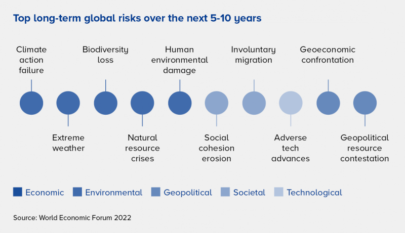 Top long-term global risks over the next 5-10 years