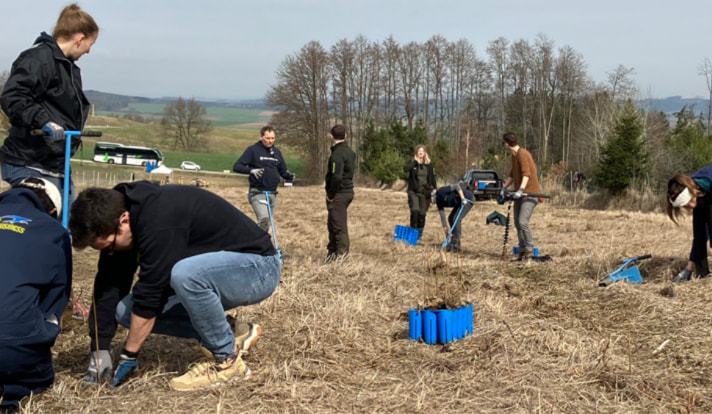 pflanzen waldviertel