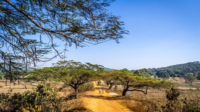 landscape in india