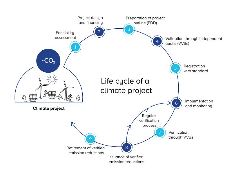 life cycle