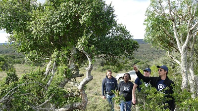 people walking through green landscape