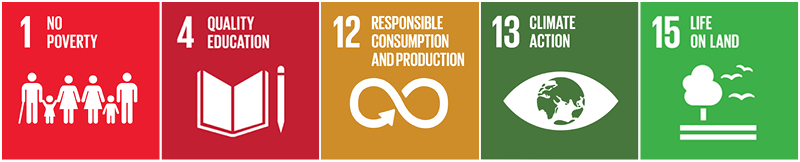 1-4-12-13-15 SDGs graphic