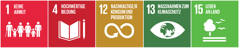 sdgs