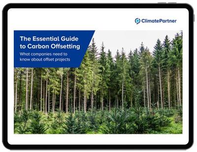 tablet graphic guide to carbon offsetting forest image