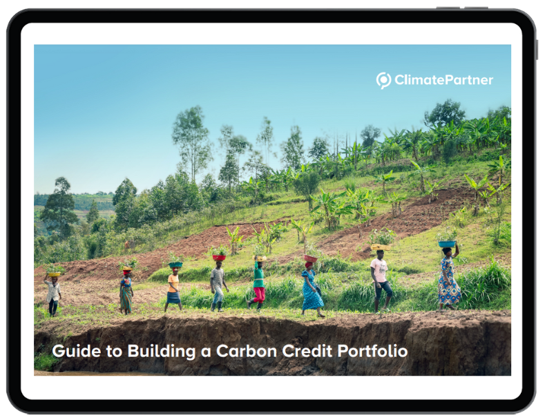 tablet graphic carbon credit portfolio guide