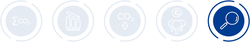 icon step 5 climate action