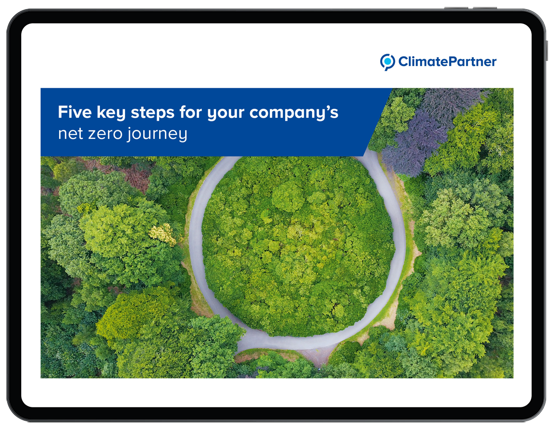 Five key steps for your companyʼs net zero journey eBook