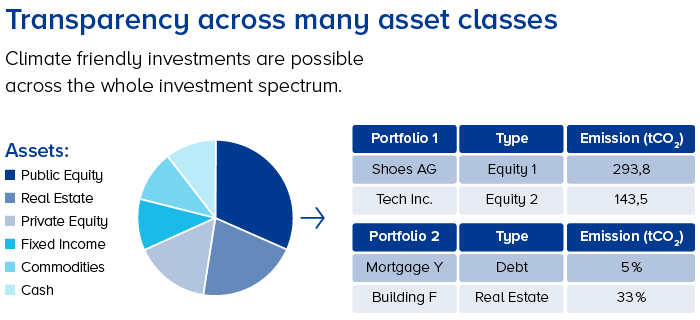 grafik fs assets