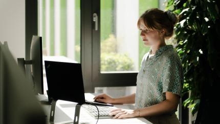 Expert working at a computer in a sun-filled office