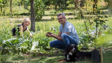 man-and-woman-planting