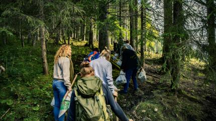 people-planting-trees