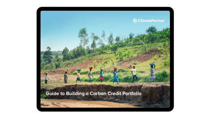 Carbon credit portfolio guide