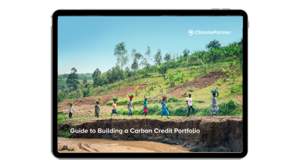 Guide: Building a carbon credit portfolio
