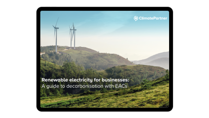Renewables guide