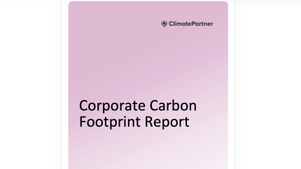ccf report doc