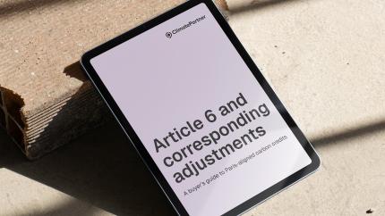 article 6 white paper tablet