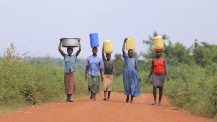 persons holding cans over their heads