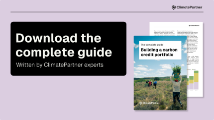 Carbon Credit Portfolio e-book cover