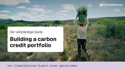 Screenshot vom Guide "Carbon-Credit-Portfolio"