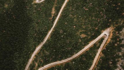 Aerial view of a track through forest