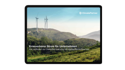 Leitfaden Dekarbonisierung mit Herkunftsnachweisen