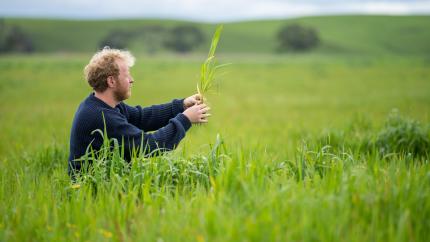 person in grass field