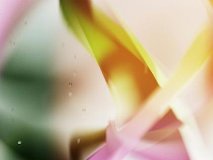 abstract image