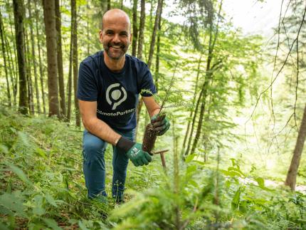 Tree planting in Germany