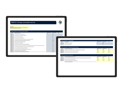 Screenshot eines ClimatePartner CSRD-Bericht-Exports