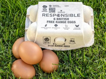 Duncan farms eggs