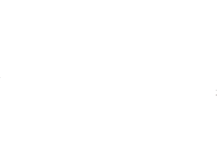 Schachinger Logo