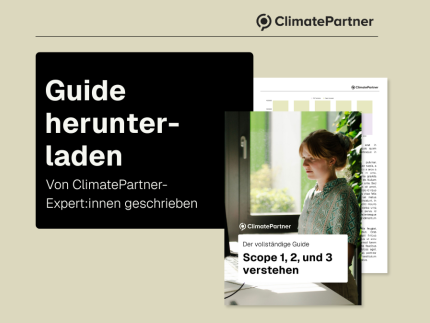 Download the e-book now