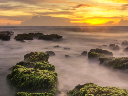 sunset and fog
