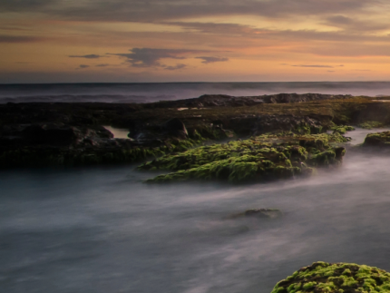 sunset and fog