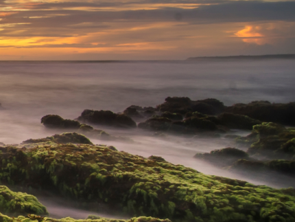 sunset and fog