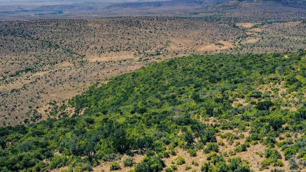 Aerial view of project site Somerset East Spekboom restoration
