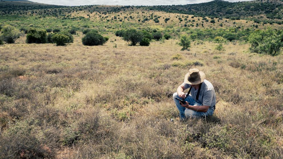 Surveyor in field validating a climate project