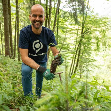 Tree planting in Germany