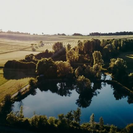 Landscape with lake and fields in the background