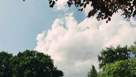 20160915-igor-trepeshchenok-barnimages-01-740x490%402x.jpeg
