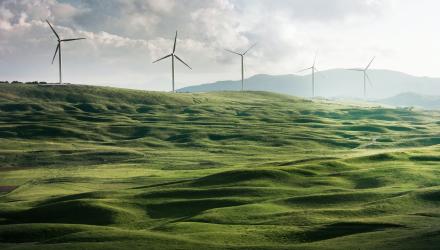 windmills.jpg