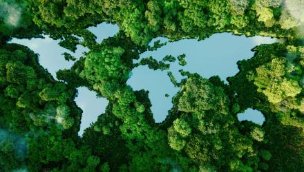 climatepartners-expectations-cop27.jpg