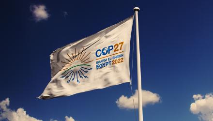 COP27-flag-hero2_0.jpg