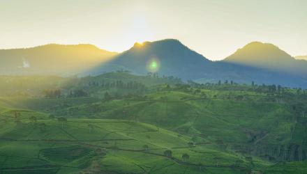 climatepartner-world-soil-day.jpg