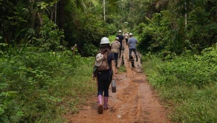 people-walking-through-rainforest.jpg