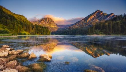 compressed%20shutterstock_401050051.jpg