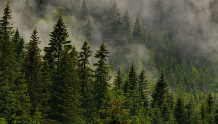 shutterstock_2178591147.png