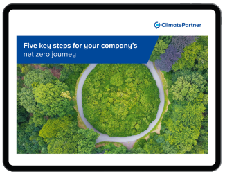 5 steps to net zero