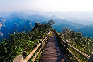 Improving society to create a healthier planet